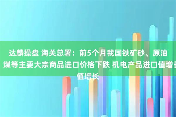 达麟操盘 海关总署：前5个月我国铁矿砂、原油、煤等主要大宗商品进口价格下跌 机电产品进口值增长