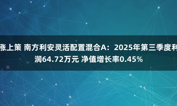 涨上策 南方利安灵活配置混合A：2025年第三季度利润64.72万元 净值增长率0.45%