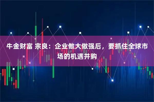 牛金财富 宗良：企业做大做强后，要抓住全球市场的机遇并购