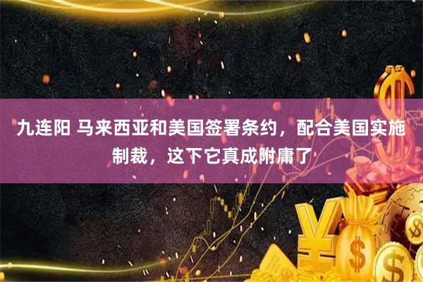 九连阳 马来西亚和美国签署条约，配合美国实施制裁，这下它真成附庸了