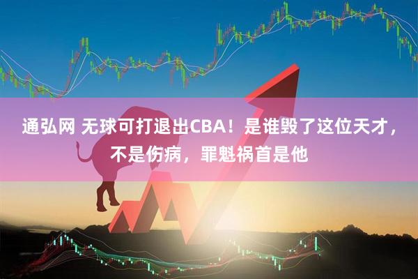 通弘网 无球可打退出CBA！是谁毁了这位天才，不是伤病，罪魁祸首是他
